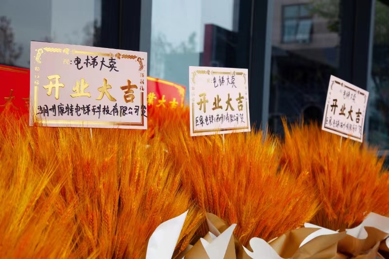 爱默生电梯tittle=爱默生电梯data-filename="img"